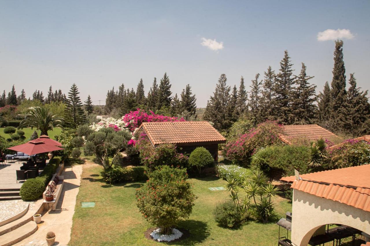 Dar Zitouna Sousse-Tunisie Экстерьер фото