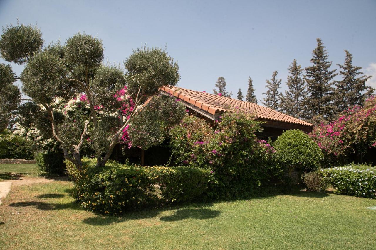 Dar Zitouna Sousse-Tunisie Экстерьер фото