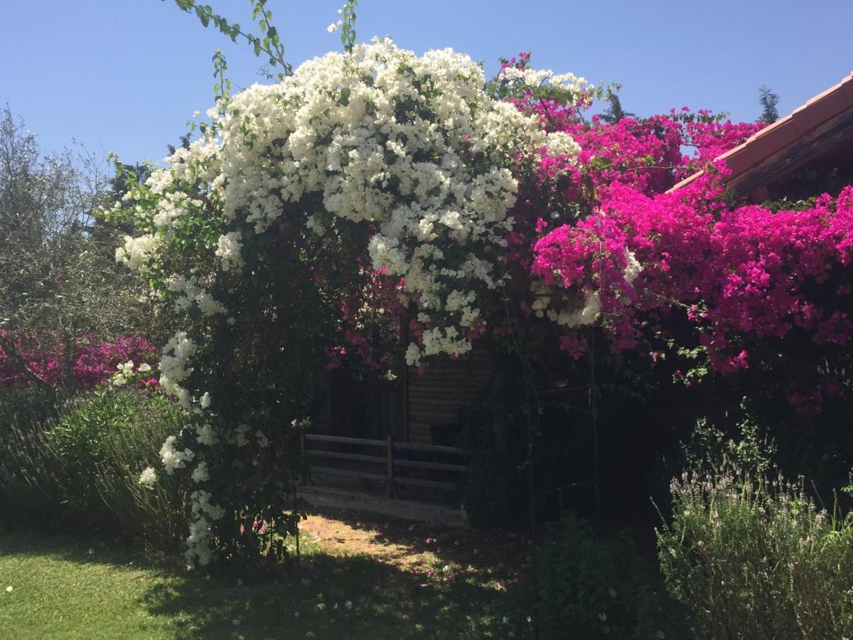 Dar Zitouna Sousse-Tunisie Экстерьер фото