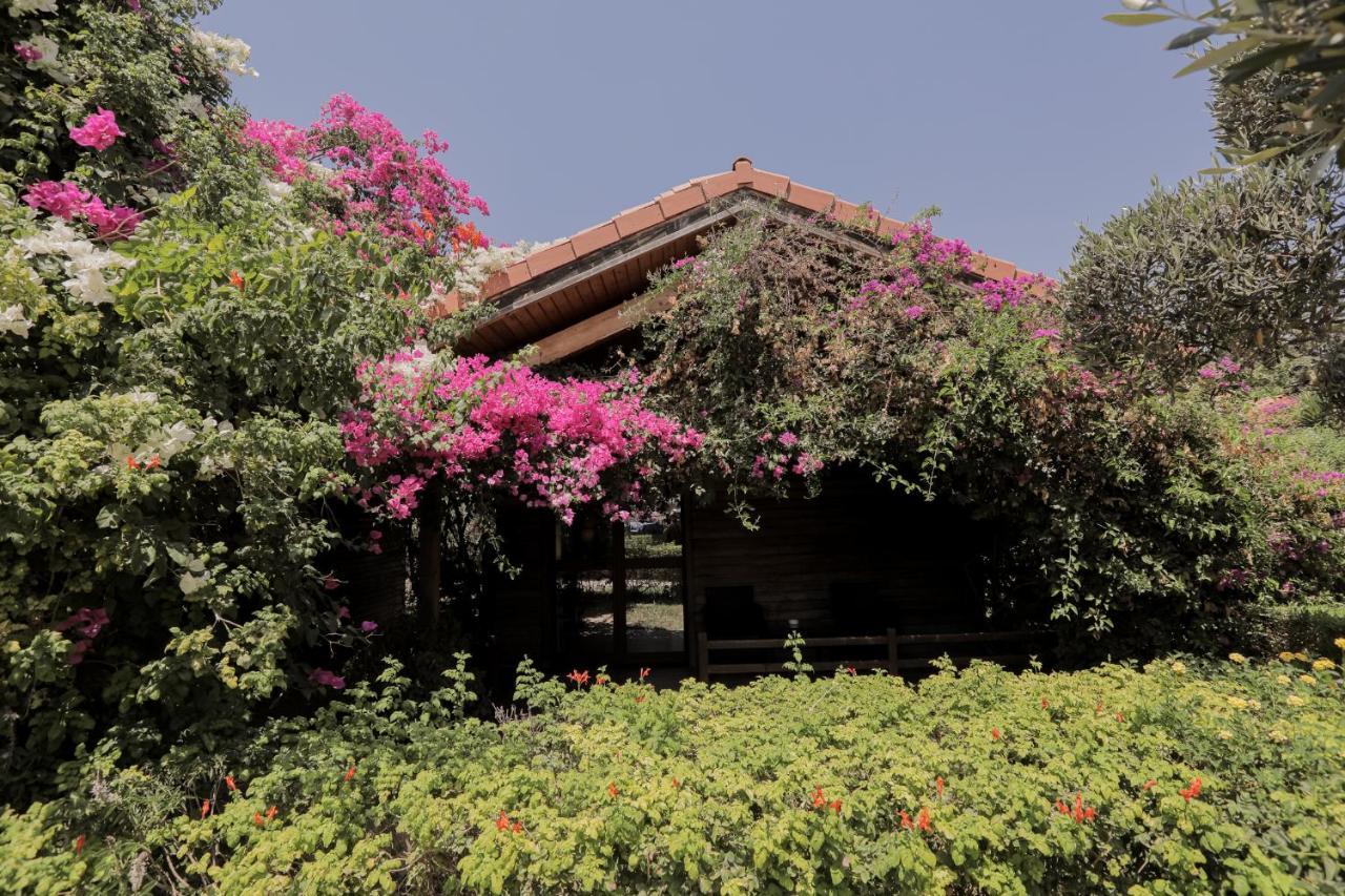 Dar Zitouna Sousse-Tunisie Экстерьер фото