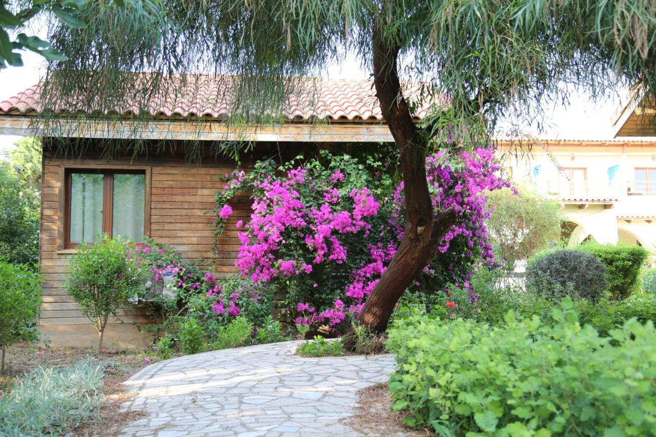 Dar Zitouna Sousse-Tunisie Экстерьер фото